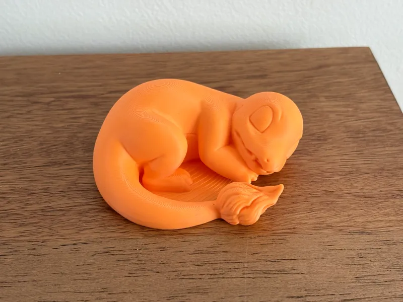 Sleeping Charmander Pokemon
