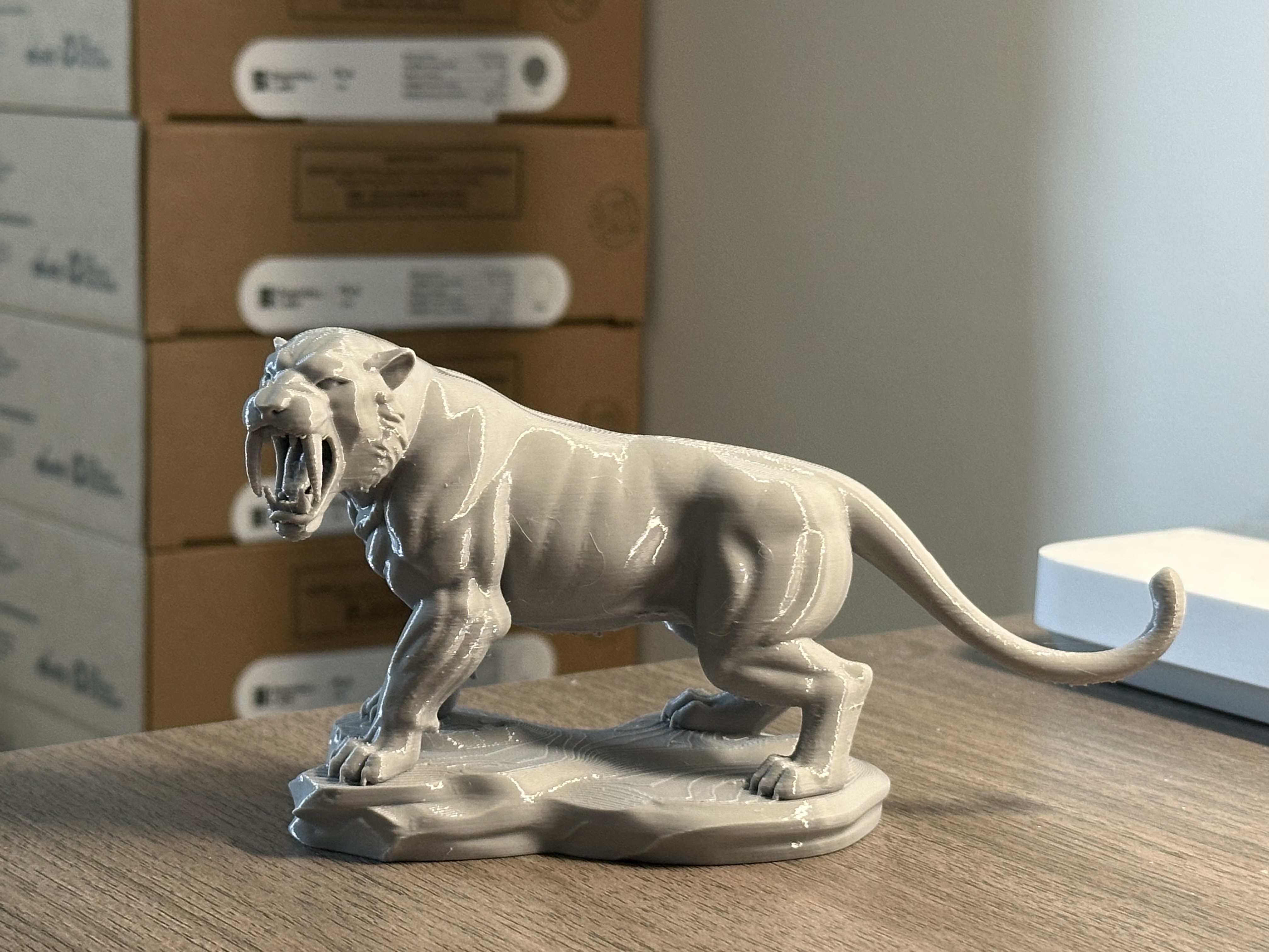 Miniatura 2 do modelo 3D 咆哮的剑齿虎 简单支撑