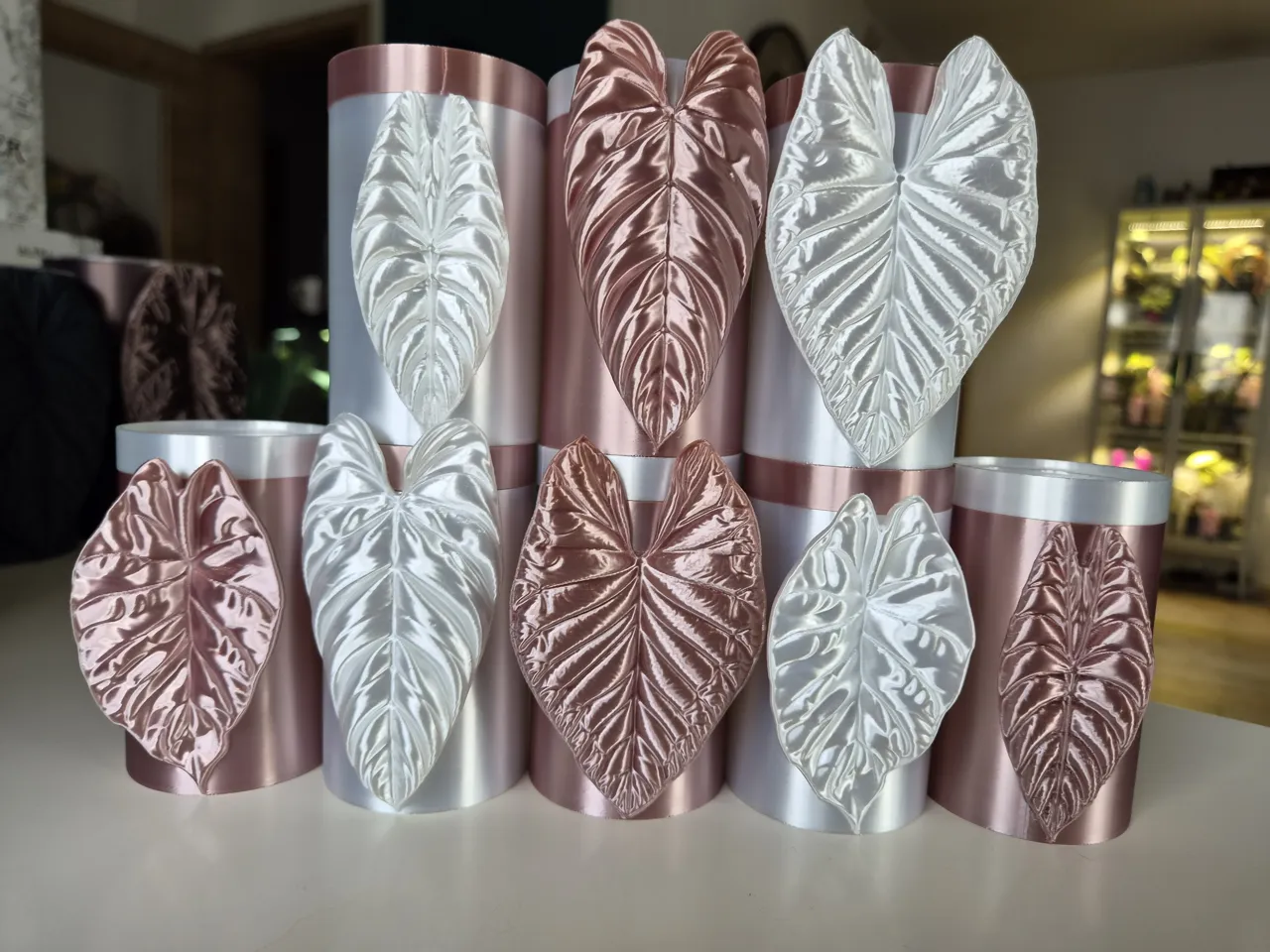 Alocasia Mini Topf Set zur Pflanzen Anzucht Set 5 view 3