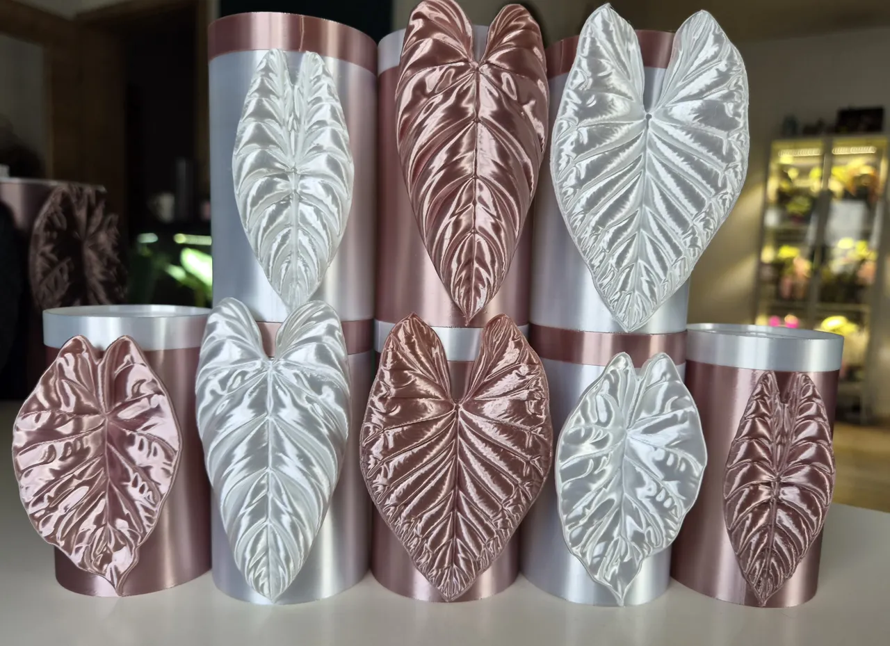 Alocasia Mini Topf Set zur Pflanzen Anzucht Set 5 view 2
