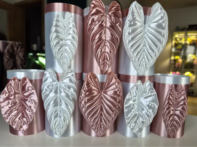Alocasia Mini Topf Set zur Pflanzen Anzucht Set 5