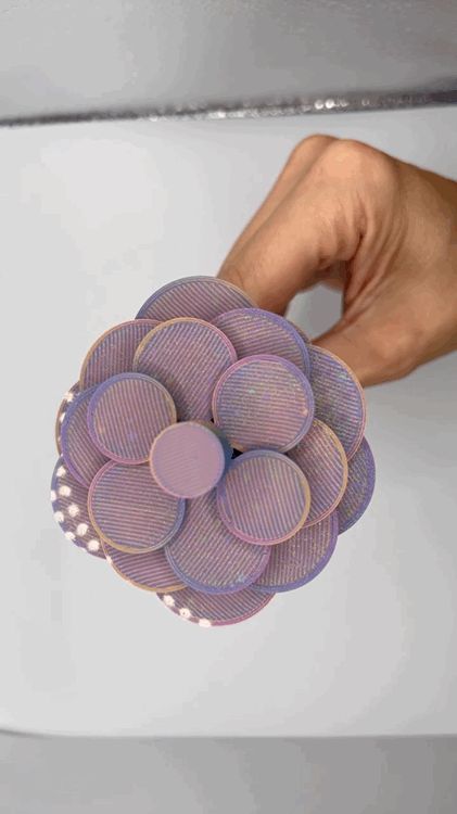 https://makerworld.bblmw.com/makerworld/model/US353af346906904/design/2025-10-05_35f689381c5f18.gif