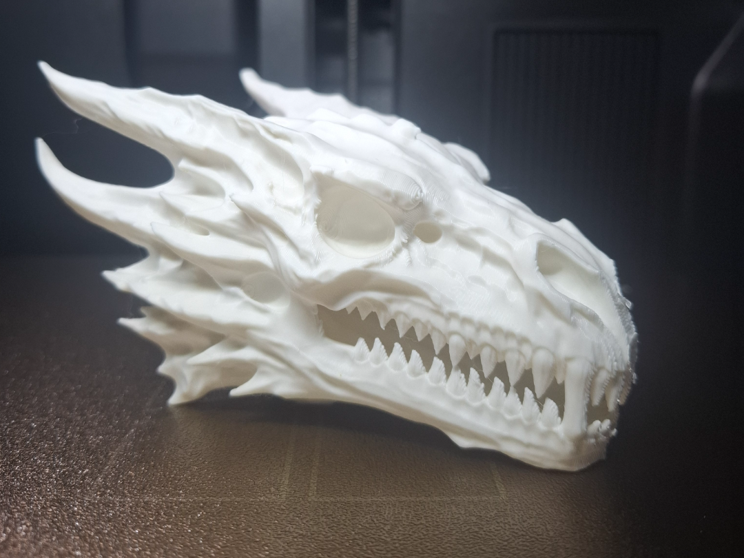 Dragon skull model