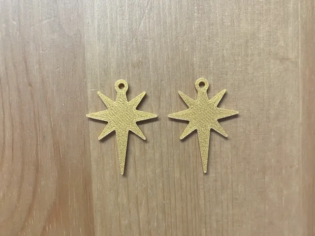 Star Earrings