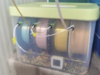 0.2mm 层高, 2 层墙, 15% 填充