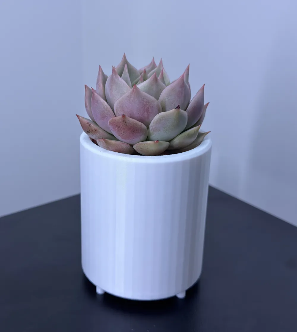 Simple Plant Pot - Free 3D Print Model - MakerWorld