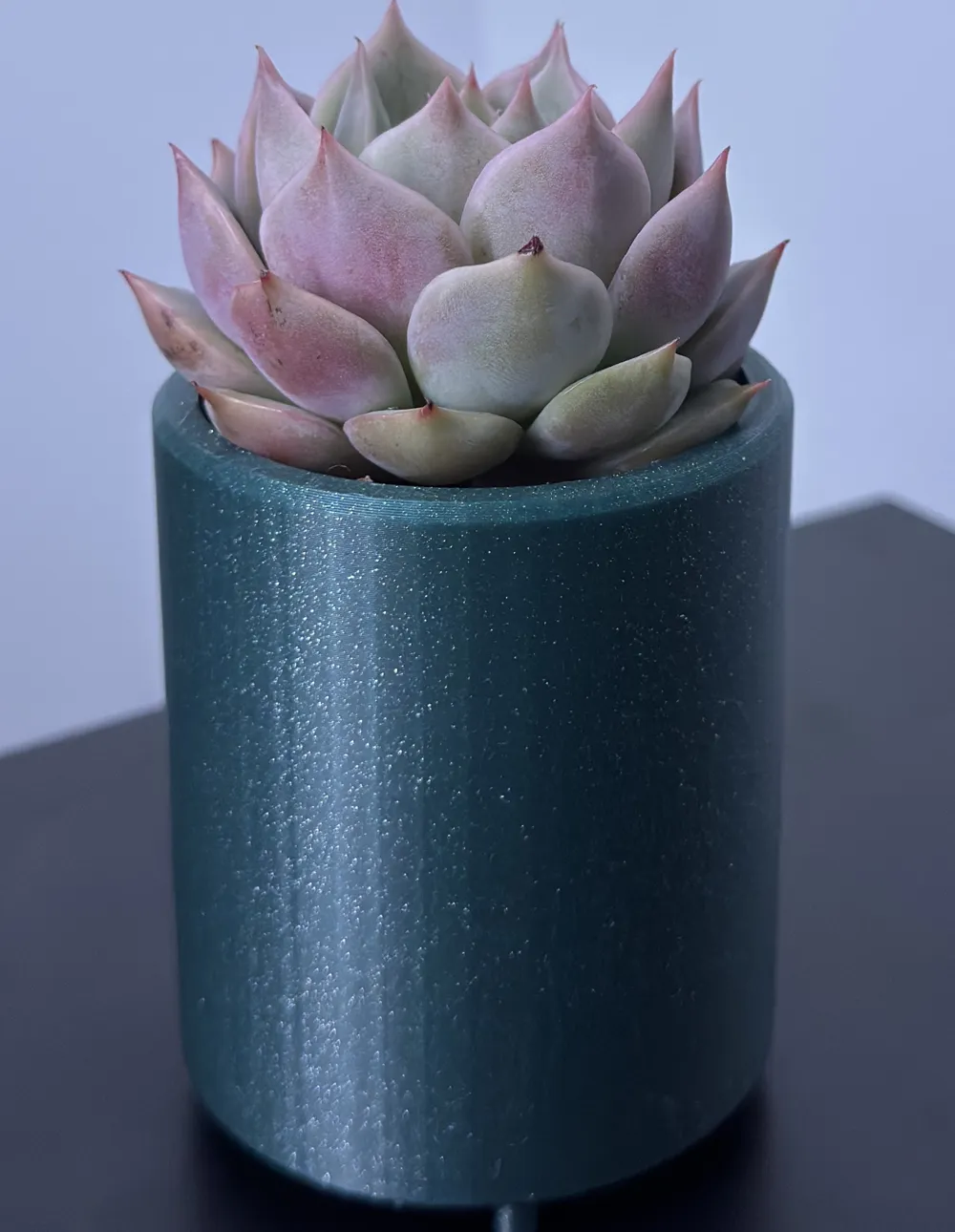 Simple Plant Pot - Free 3D Print Model - MakerWorld