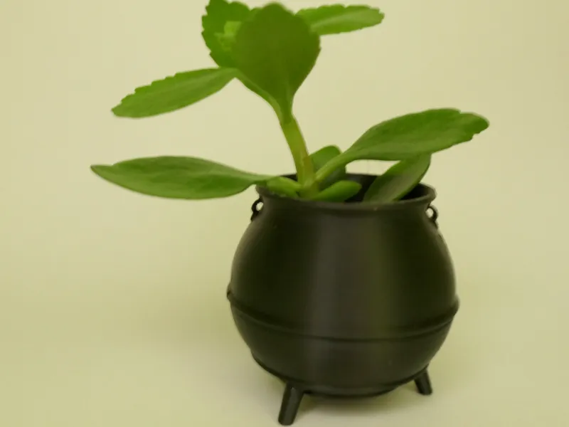 magic cauldron PLANTER