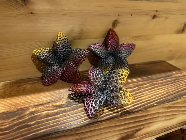 https://makerworld.bblmw.com/makerworld/model/US35575780d5d03a/design/2024-12-11_84571b0bb931a.jpg