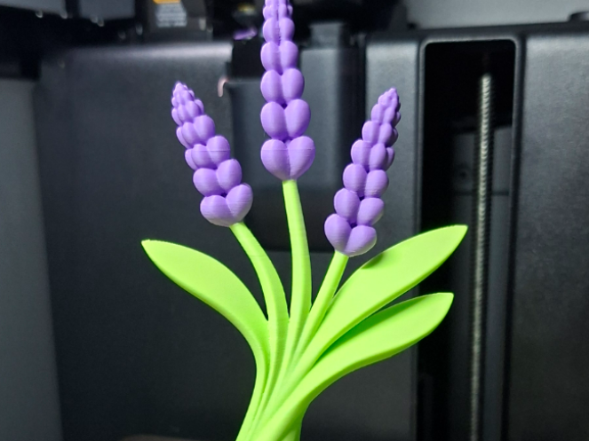 Lavender Plant Decor Easy Multicolor Print, 