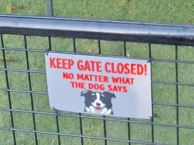 Keep Gate closed - Border Collie edition