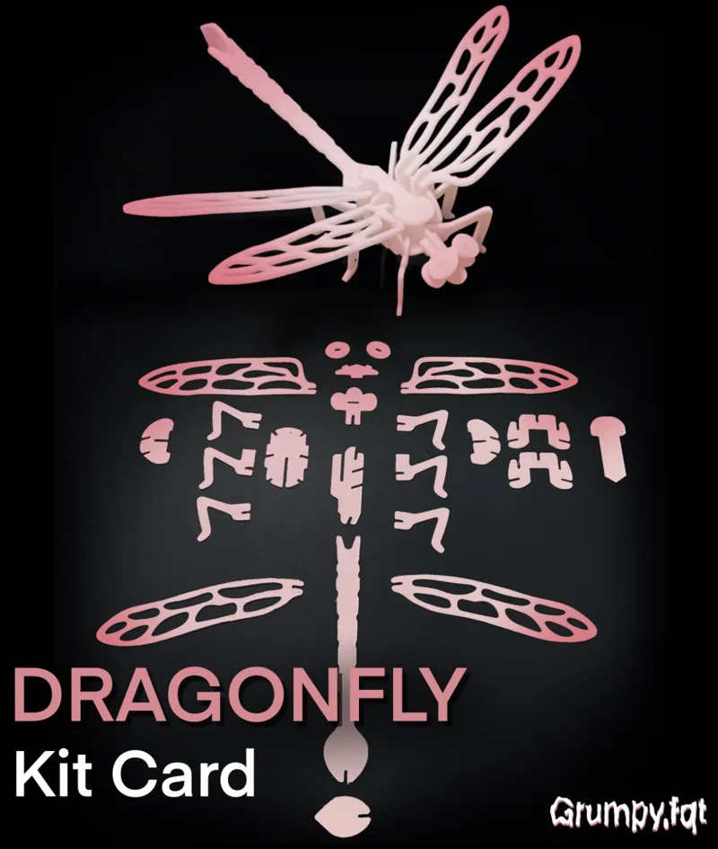 Dragonfly kit cards ! 