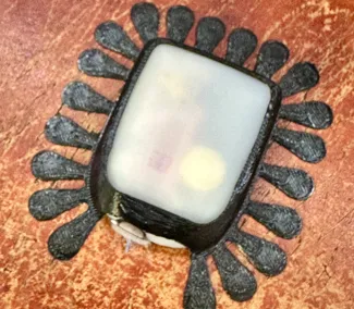 Omnipod Insulin Pump Shield