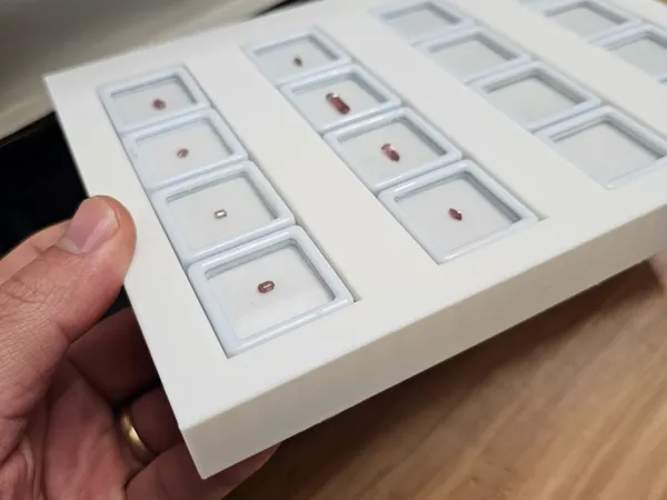 https://makerworld.bblmw.com/makerworld/model/US355b9fae647f59/design/2024-11-13_48fadb4fd5996.jpg