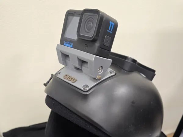 https://makerworld.bblmw.com/makerworld/model/US3561b6f3db05a1/design/2025-11-02_048023ea0a08.jpg