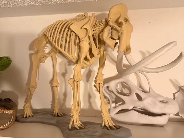 https://makerworld.bblmw.com/makerworld/model/US35641993204c96/design/27811c90d1585831.jpg