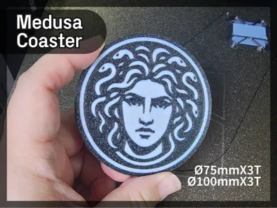 Medusa Coaster
