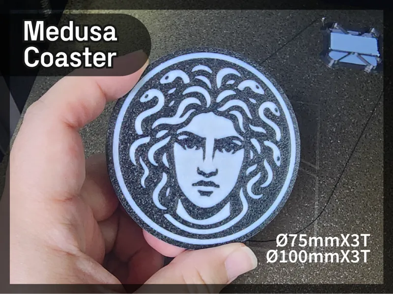 Medusa Coaster