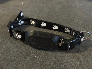 Cat Collar SmartTag2