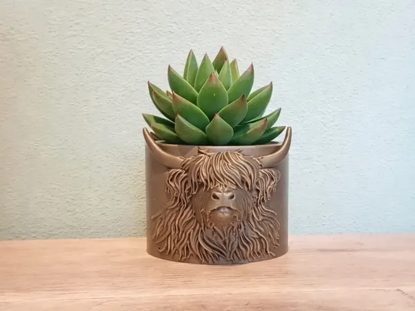 https://makerworld.bblmw.com/makerworld/model/US356a7a3e772d5b/design/2025-12-23_c5ce2faa0b1678.png