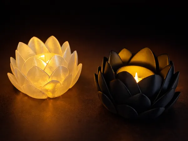 https://makerworld.bblmw.com/makerworld/model/US356aada4792493/design/886a875ede83ee50.png