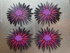 Urchin Tactile Story Prop