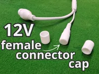 12v cap 1pcs