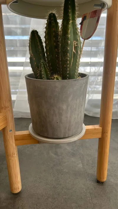 IKEA Satsumas - Stojan na kvetiny / Plant stand