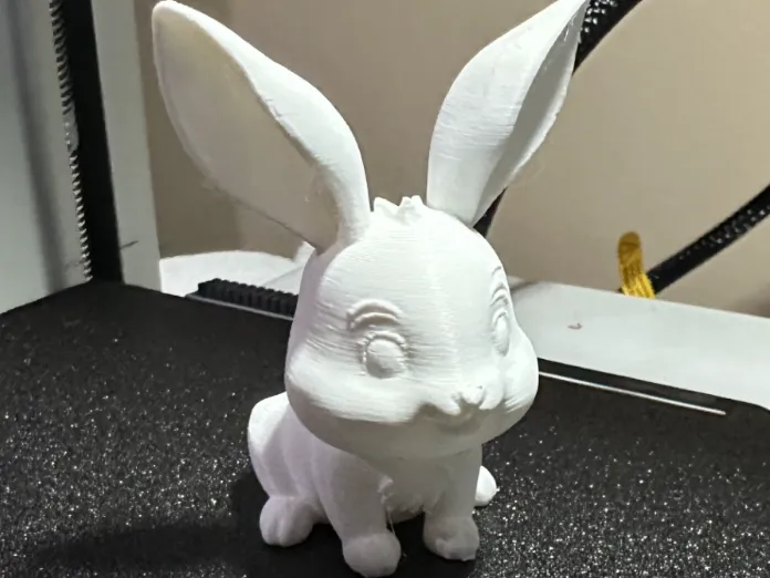 Bunny