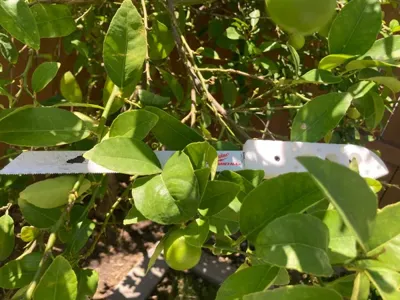 Sawzall blade handle