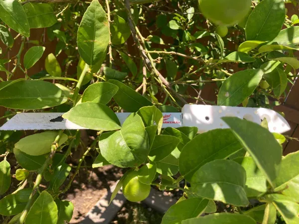 Sawzall blade handle 