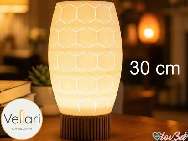 https://makerworld.bblmw.com/makerworld/model/US35821bd85b59bb/design/e4fb93c0b2d4023d.png