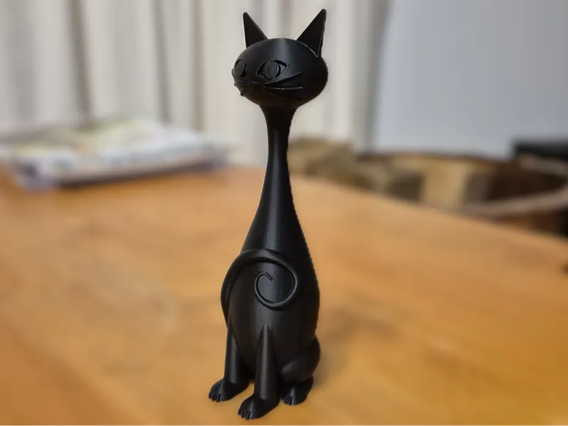 Midnight Cat