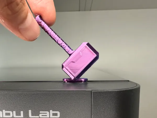 https://makerworld.bblmw.com/makerworld/model/US35889a398f6a80/design/2024-08-28_e62cc367ad7f08.jpg