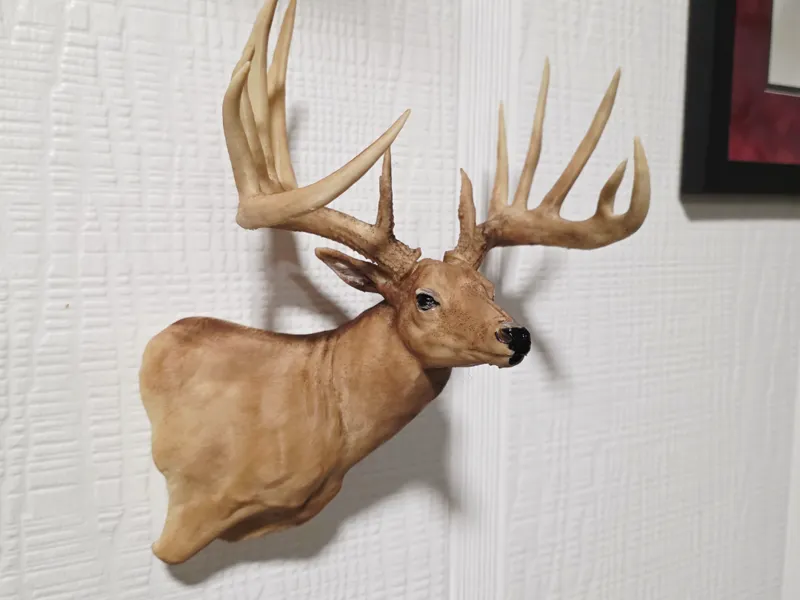Deer Shoulder Wall Mount - BAS Antlers