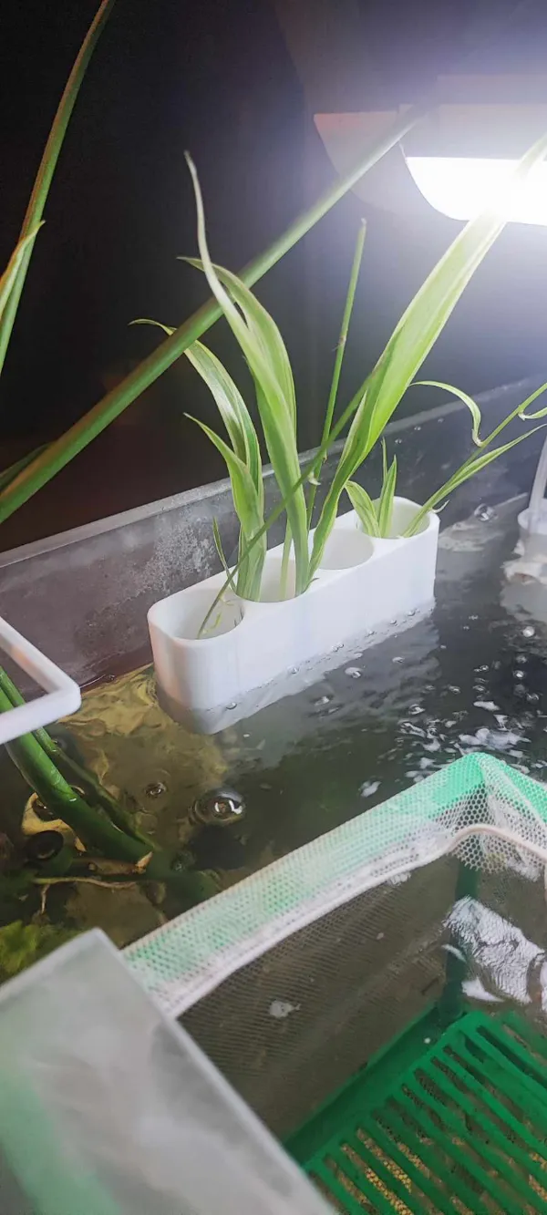 https://makerworld.bblmw.com/makerworld/model/US3598d007a9c252/design/2024-02-11_1cc810892ffde.jpg