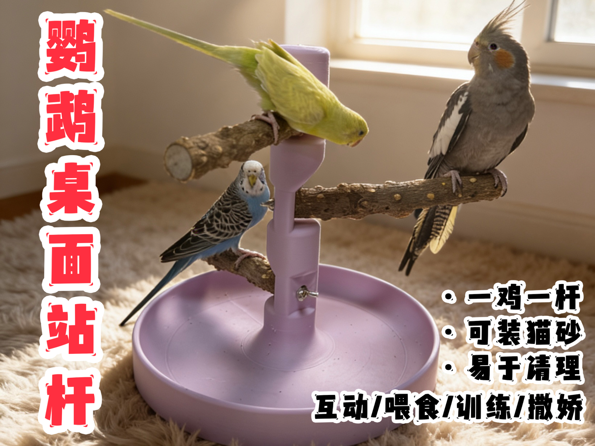 鹦鹉桌面站架/站杆（三鸡同框）