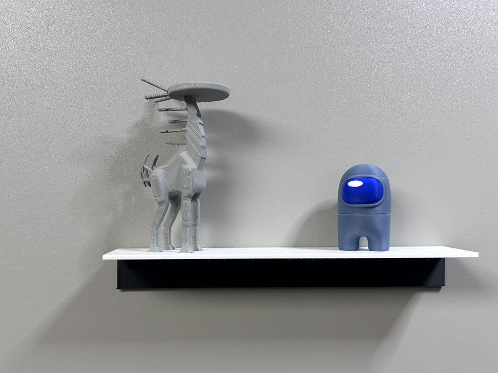Miniatures Display Shelf