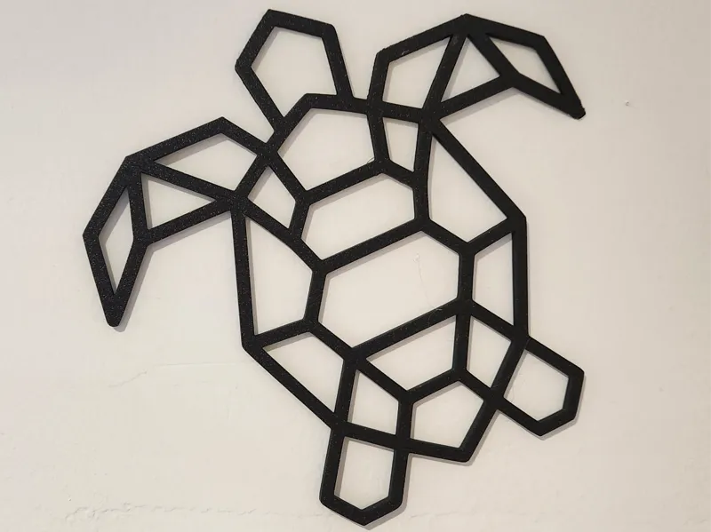 Geometric Turtle 2D Wall Art