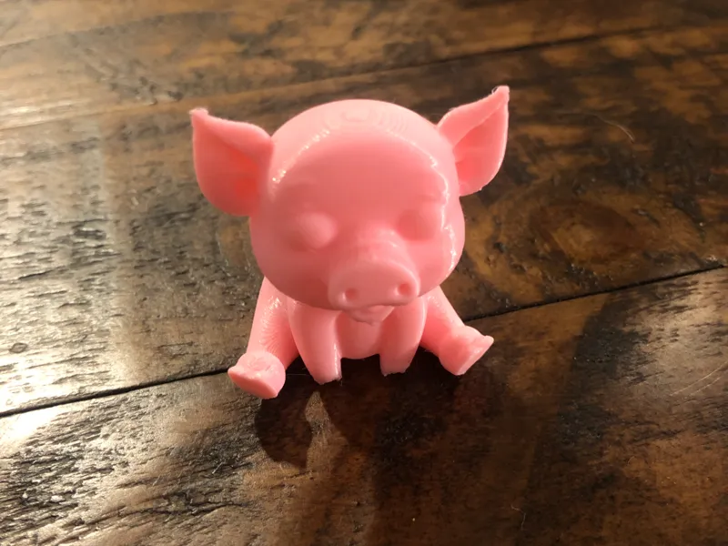 sitting pig