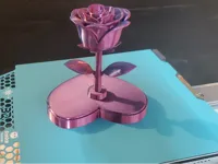 Rose éternelle jaillissant d'un cœur — photo 1