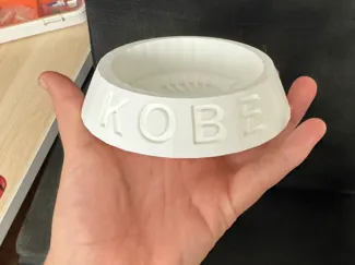 Cat Bowl feeder personalized