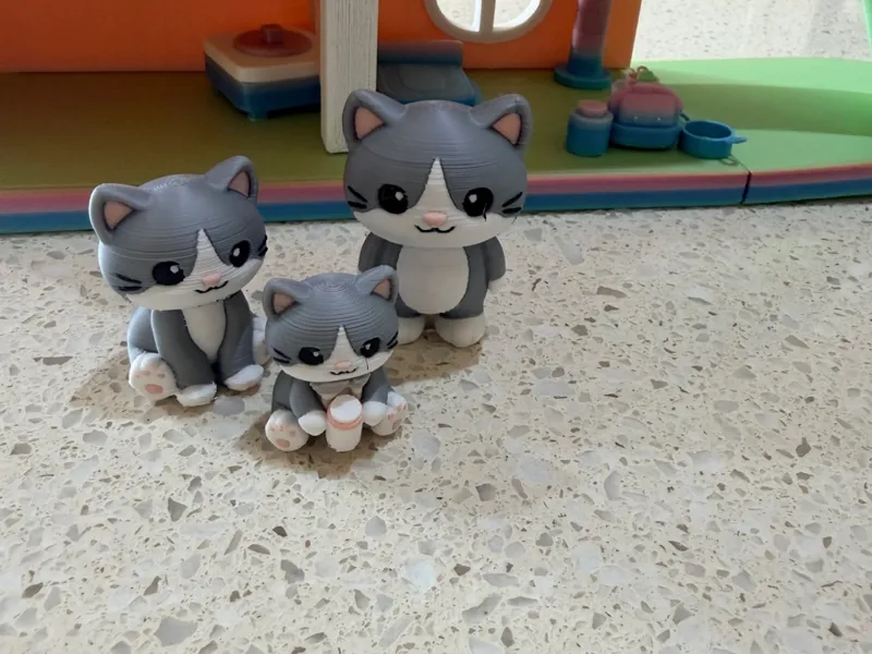 kitten family