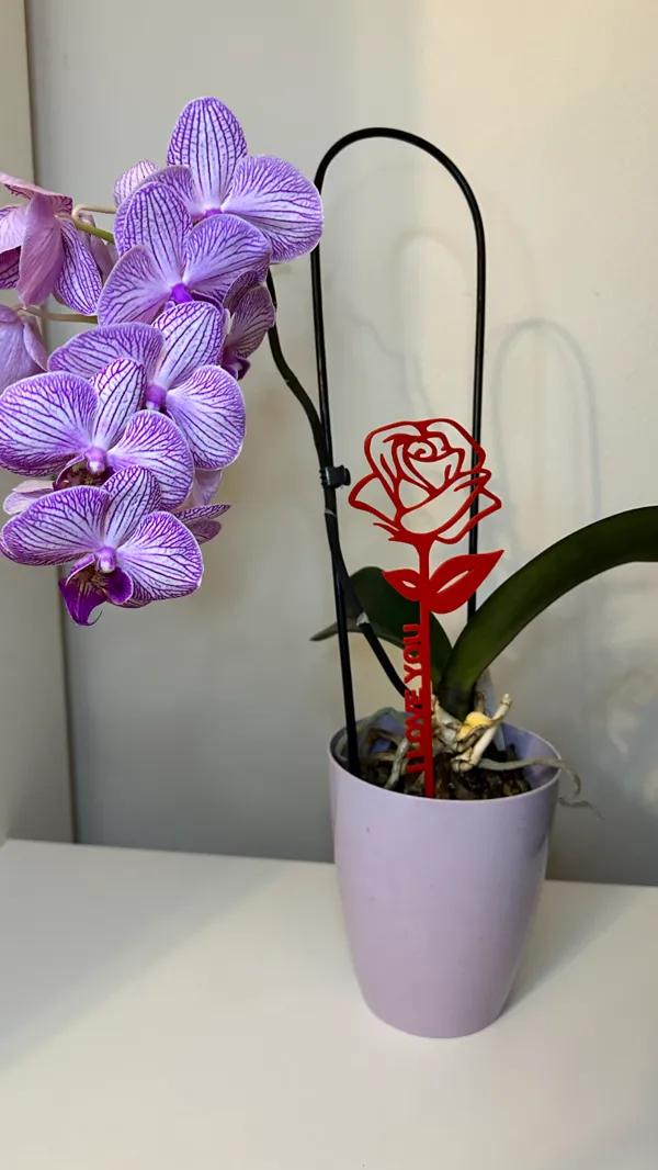 https://makerworld.bblmw.com/makerworld/model/US35b1852083fac/design/2024-01-28_acbda7ba16123.jpg