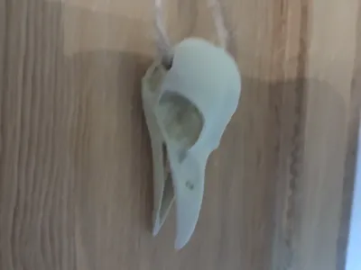 Hanger Crowskull