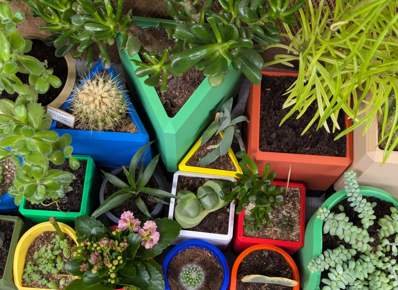 Vase 2.0 | The Plant Put. view 3