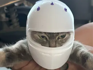 猫咪安全头盔