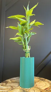 0.2mm layer, 2 walls, 5% infill