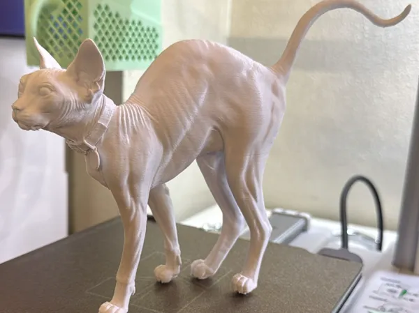 Figurine chat Sphynx — dos arqué