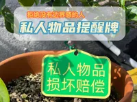 0.2mm 层高, 3 层墙, 15% 填充